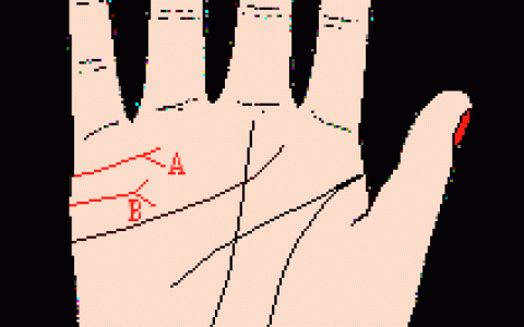 女性右手手相分析（2022最新的女人手相纹路大全图解）