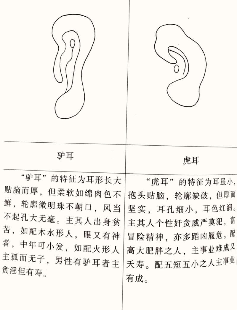 女人耳朵看相算命图解，一文分析女生30种耳型相术图解大全-7