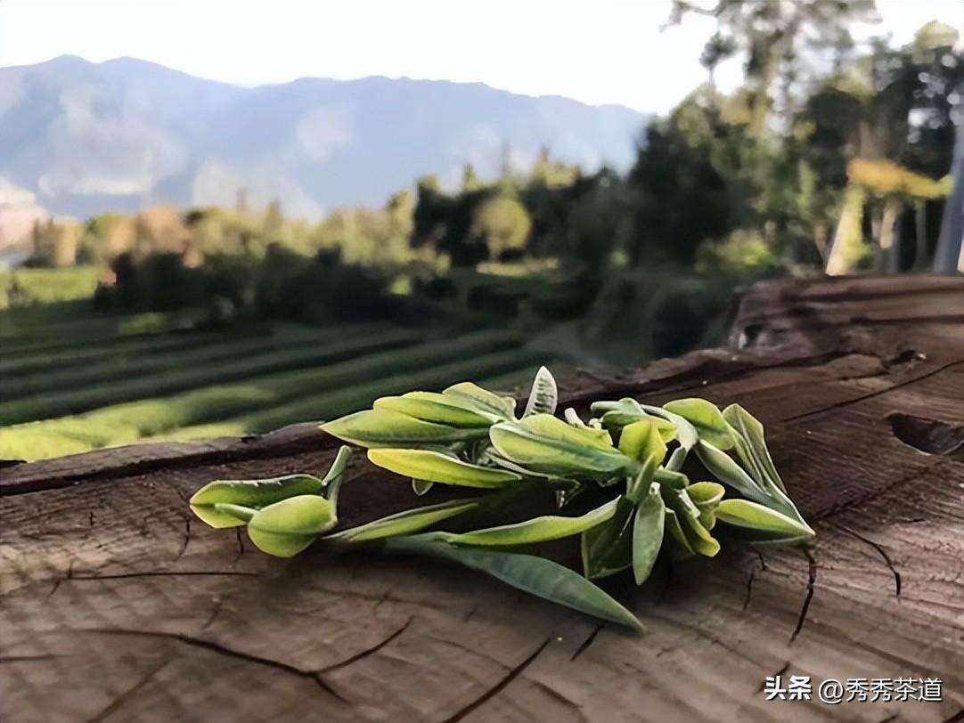 盘点冬日适合喝的茶（冬天适合喝这几种茶）