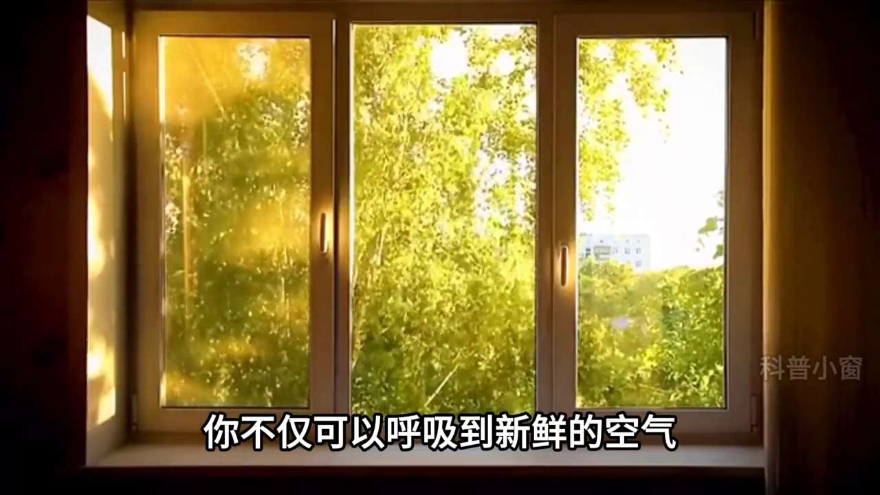 为什么开窗户就能缓解晕车（揭秘晕车症状的科学缓解方法）