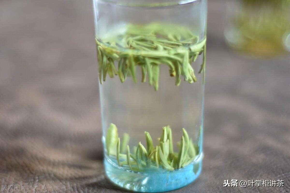 茶叶的内含物质有哪些（茶叶的内含物质与茶叶的滋味及联系）