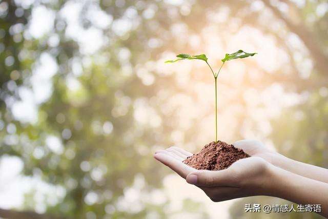 发朋友圈秒赞的句子（心态好格局大的文案）