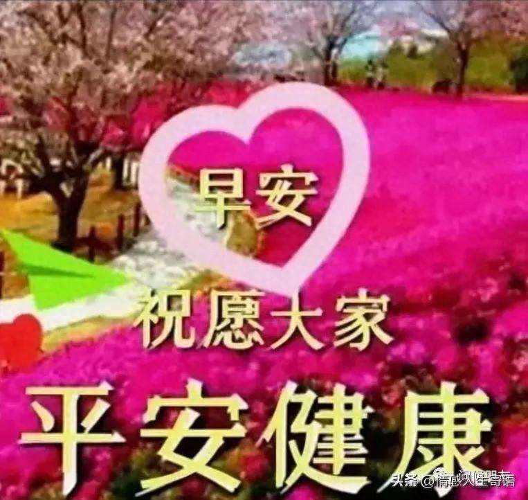 适合早上发的早安心语（中老年简短问候祝福语）