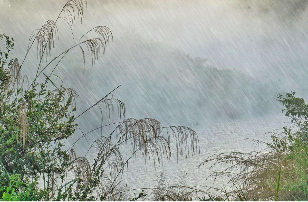 风的诗句飞花令（笔落惊风雨，诗成泣鬼神）