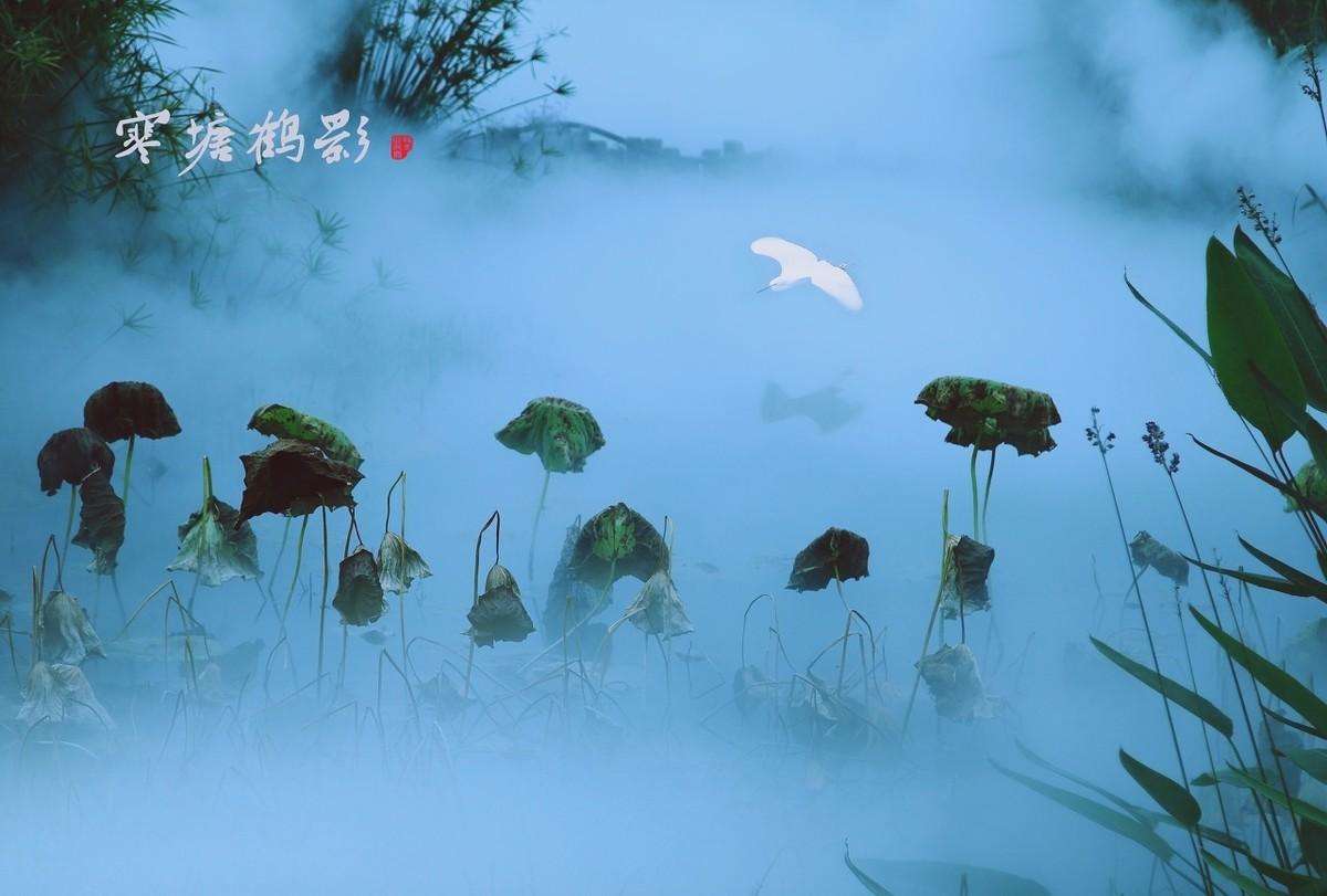 风的诗句飞花令（笔落惊风雨，诗成泣鬼神）